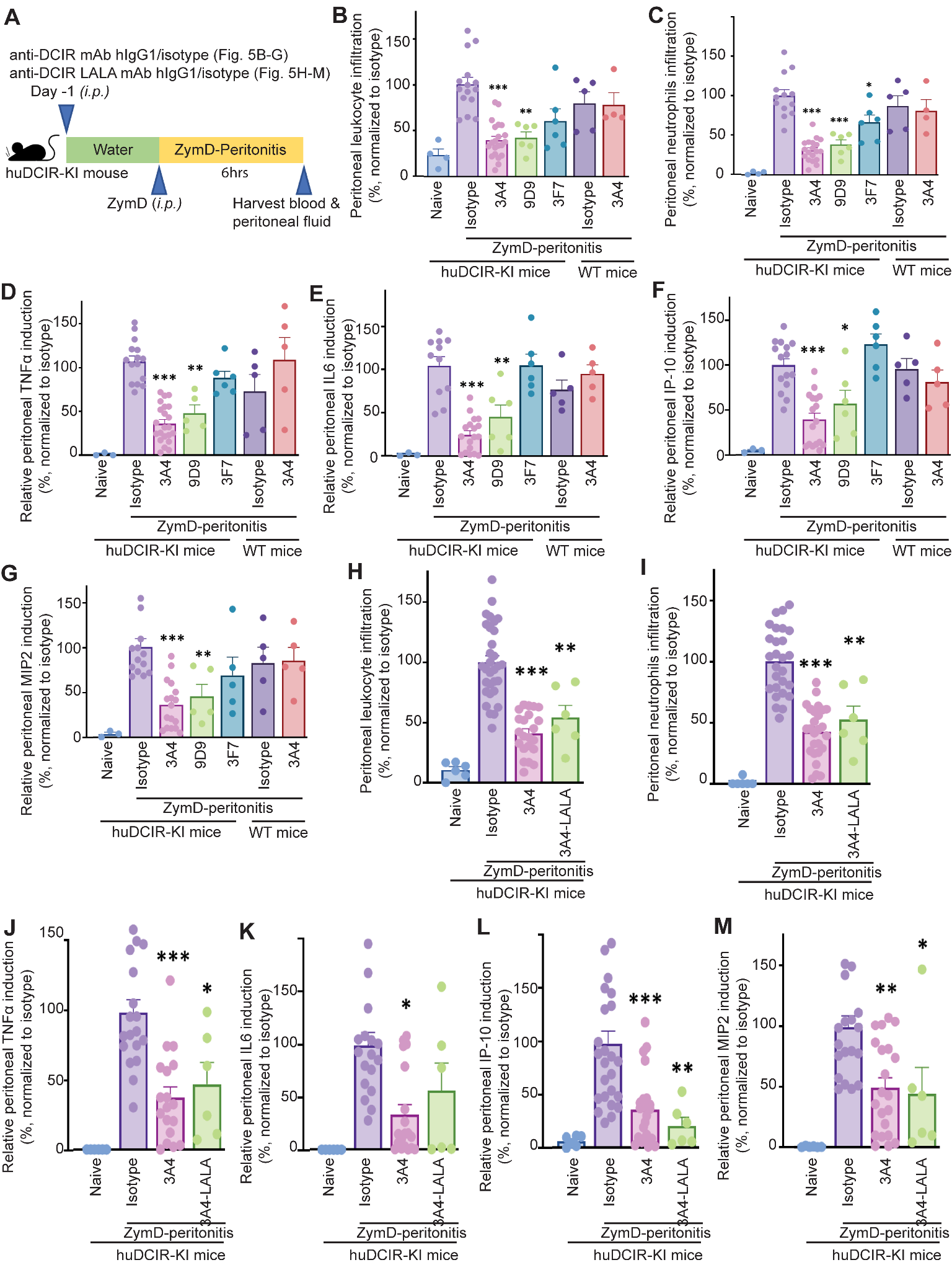 Agonistic anti-DCIR antibody inhibits ITAM-mediated inflammatory signaling and promotes immune resolution